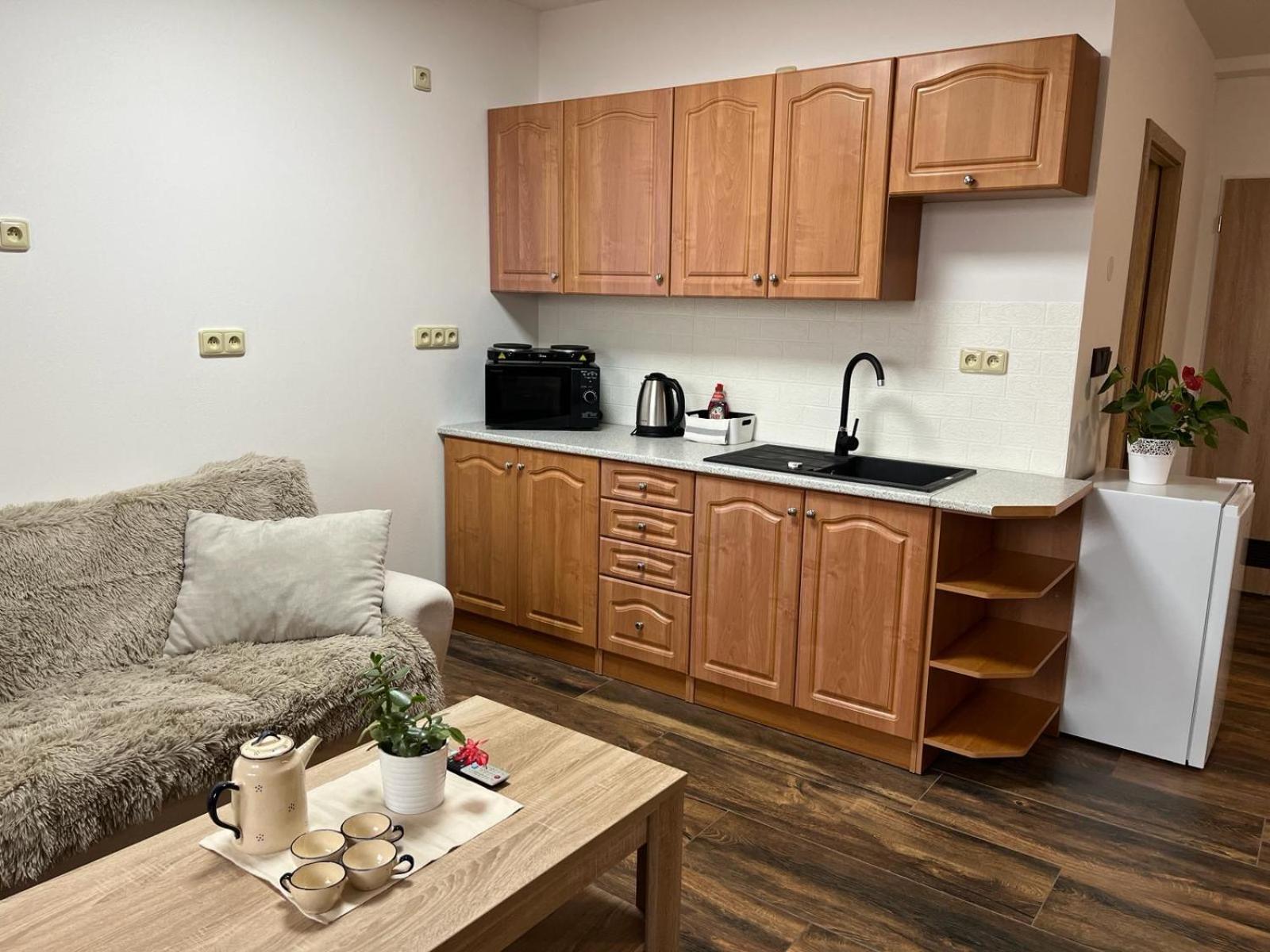Apartman Kuga ミクロフ エクステリア 写真